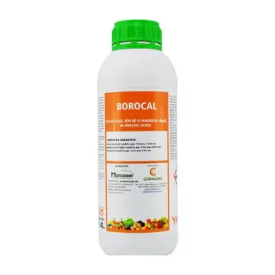 Borocal, 1 l