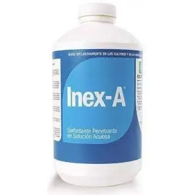 Inex A 1l