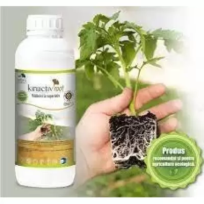 Kinactiv Root