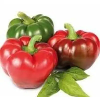 Seminte Ardei gogosar Zeleni