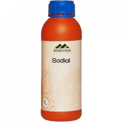 SODIAL 1 L