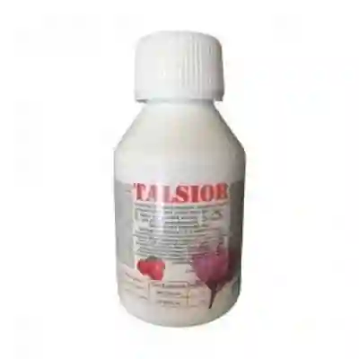 Talsior