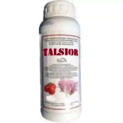 Talsior