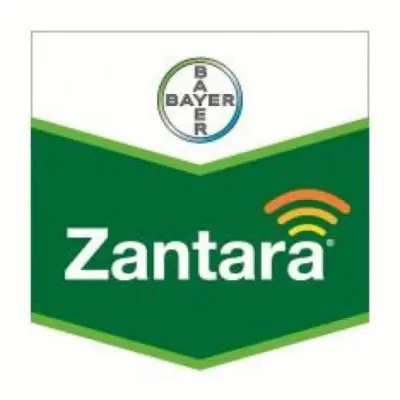 Zantara 216 EC 5 l